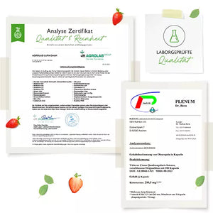 Cissus Quadrangularis Intenso - 180 Kapsel - 725 mg Extrakt - 40% Ketosterone Anteil - Laborgeprüft