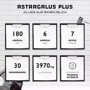 Astragalus Plus - Kidney flush Complex Nieren gesundheit