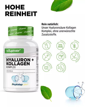 Hyaluronsäure Kollagen Komplex