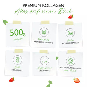 Kollagen Peptid Pulver (500g)