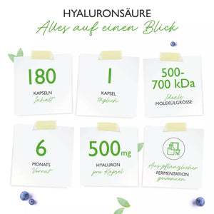 Hyaluronsäure (180 Kapseln a500mg)
