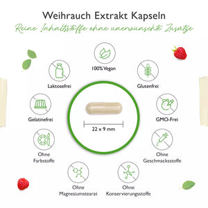 Weihrauch Extrakt 1000 - 85% Boswellia-Säure (365 Kapseln a 1000mg)