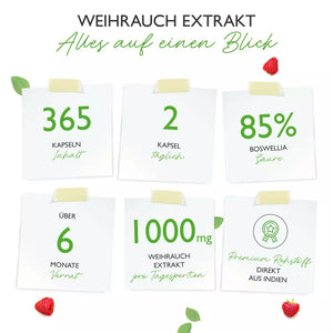 Weihrauch Extrakt 1000 - 85% Boswellia-Säure (365 Kapseln a 1000mg)