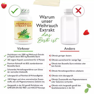Weihrauch Extrakt 1000 - 85% Boswellia-Säure (365 Kapseln a 1000mg)