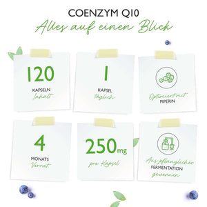 Q10 Coenzym (120 Kapseln a 250mg)