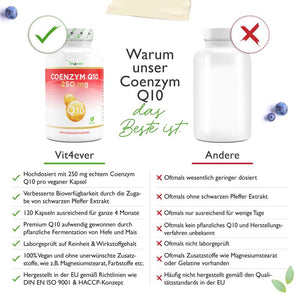 Q10 Coenzym (120 Kapseln a 250mg)