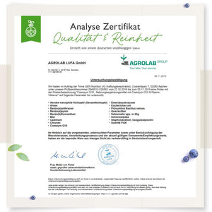 Q10 Coenzym (120 Kapseln a 250mg)