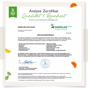 Magnesiumbisglycinat - (365 Kapseln)