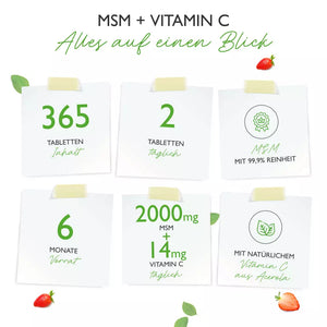 MSM Plus Vit4ever (365 Tabletten -1000mg)