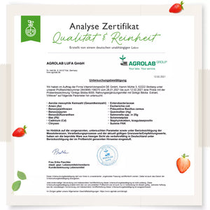 MSM Plus Vit4ever (365 Tabletten -1000mg)