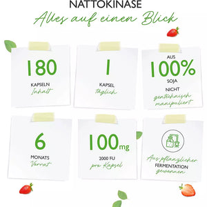 Nattokinase - 180 Kapseln mit je 100 mg (20.000 FU pro g = 2000 FU pro Kapsel)