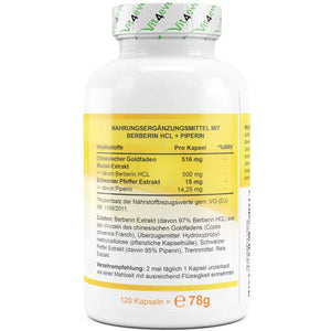 Berberin HCL Intenso - (120 Kapseln a 500mg)