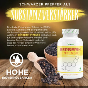 Berberin HCL Intenso - (120 Kapseln a 500mg)