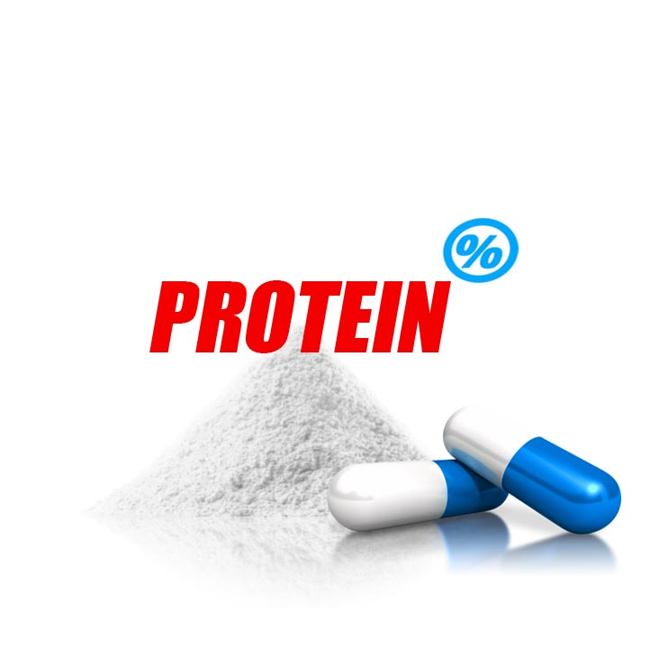 PROTEINPULVER