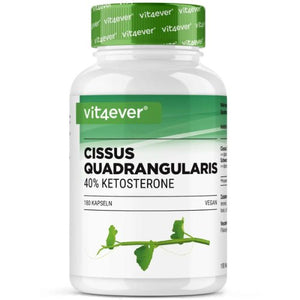 Cissus Quadrangularis Intenso - 180 Kapsel - 725 mg Extrakt - 40% Ketosterone Anteil - Laborgeprüft