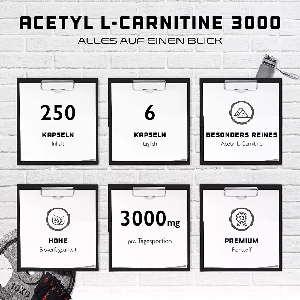 l carnitine tartrate benefits for men L-carnitine tartrate supplementation in the fight against infectious disease l carnitine tartrate benefits for men L-carnitine tartrate supplementation in the fight against infectious disease