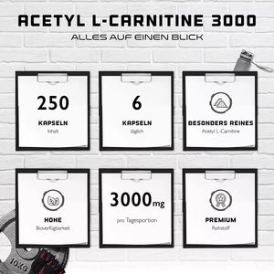 Acetyl L-Carnitin   L-Carnitine