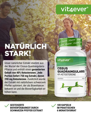 Cissus Quadrangularis Intenso - 180 Kapsel - 725 mg Extrakt - 40% Ketosterone 