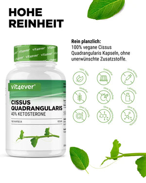 Cissus Quadrangularis Intenso - 180 Kapsel - 725 mg Extrakt - 40% Ketosterone Anteil - Laborgeprüft