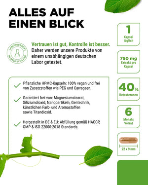 Cissus Quadrangularis Intenso - 180 Kapsel - 725 mg Extrakt - 40% Ketosterone Anteil - Laborgeprüft