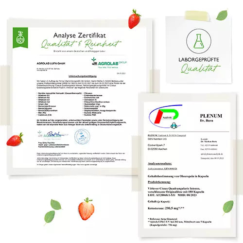 Cissus Quadrangularis Intenso - 180 Kapsel - 725 mg Extrakt - 40% Ketosterone Anteil - Laborgeprüft