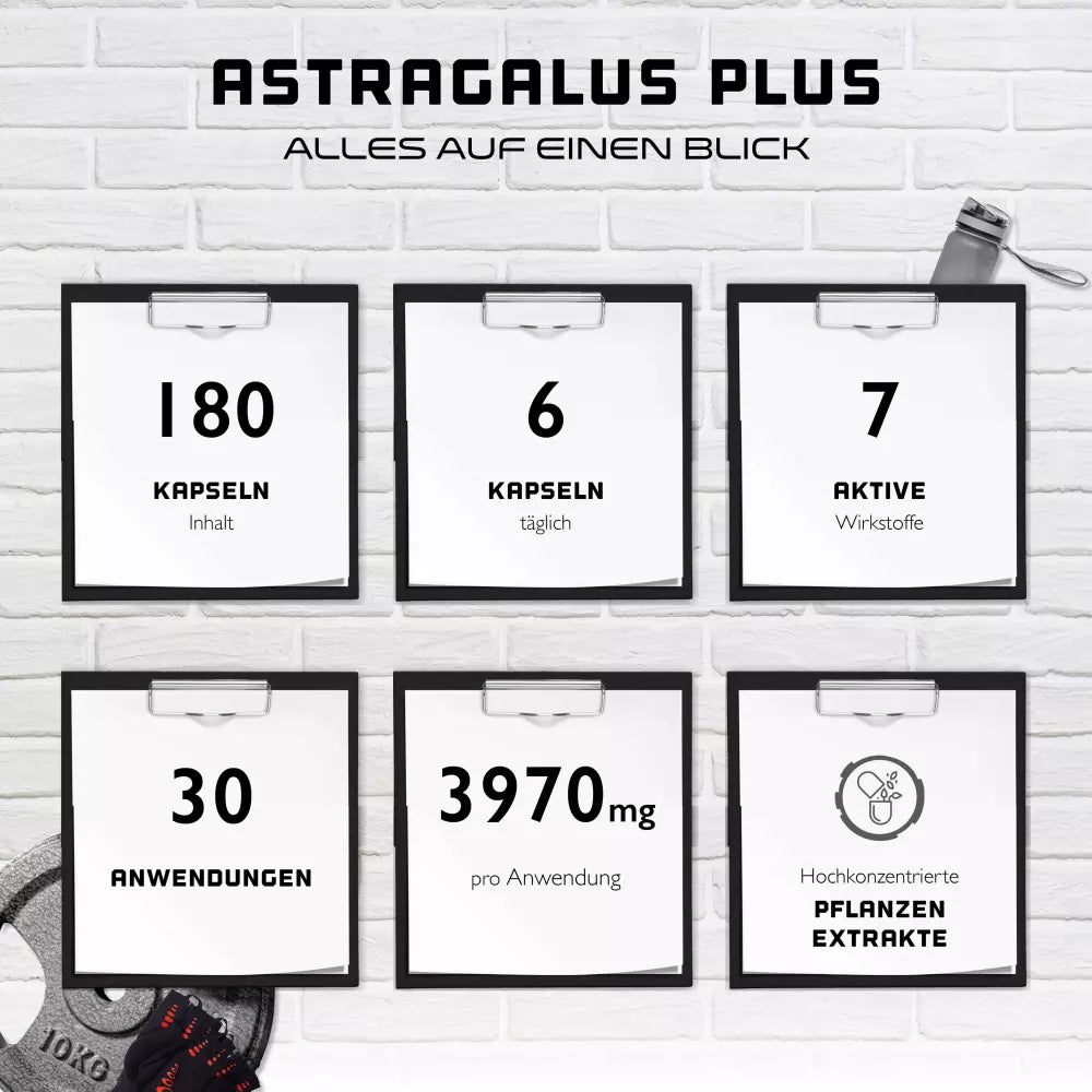 Astragalus Plus - Kidney flush Complex Nieren gesundheit