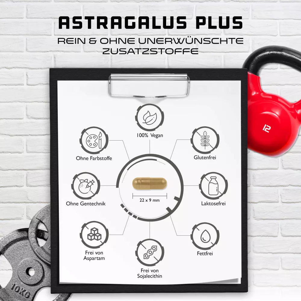 Astragalus Plus - Kidney flush Complex Nieren gesundheit
