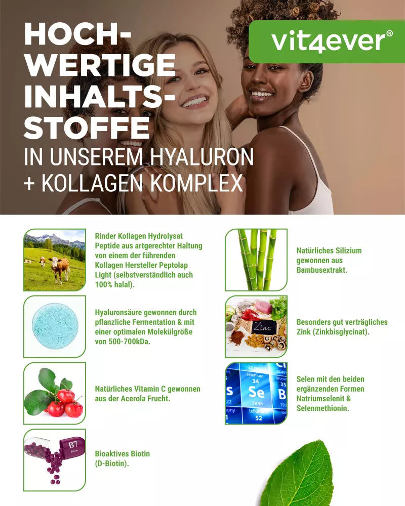 Hyaluronsäure Kollagen Komplex