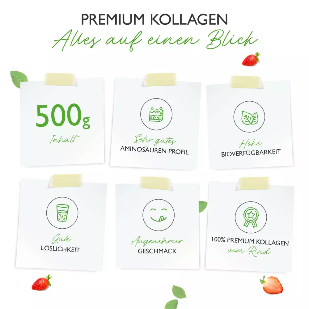 Kollagen Peptid Pulver (500g)
