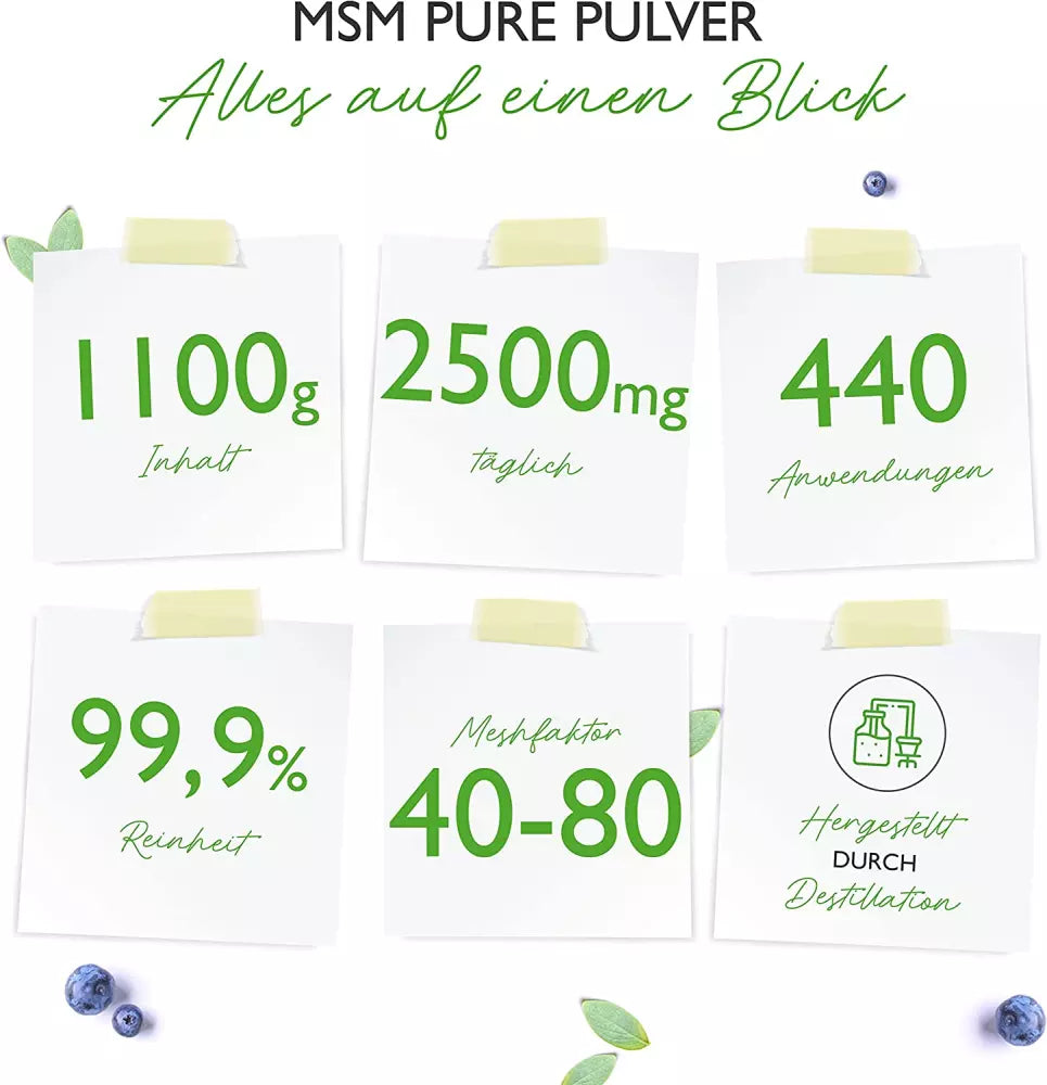 MSM Pulver (1100g)