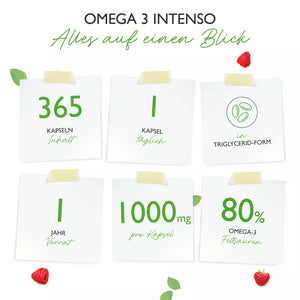 Omega 3 Intenso Fischöl (365 Softgel-Kapseln)