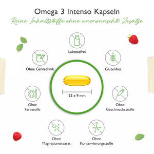 Omega 3 Intenso Fischöl (365 Softgel-Kapseln)