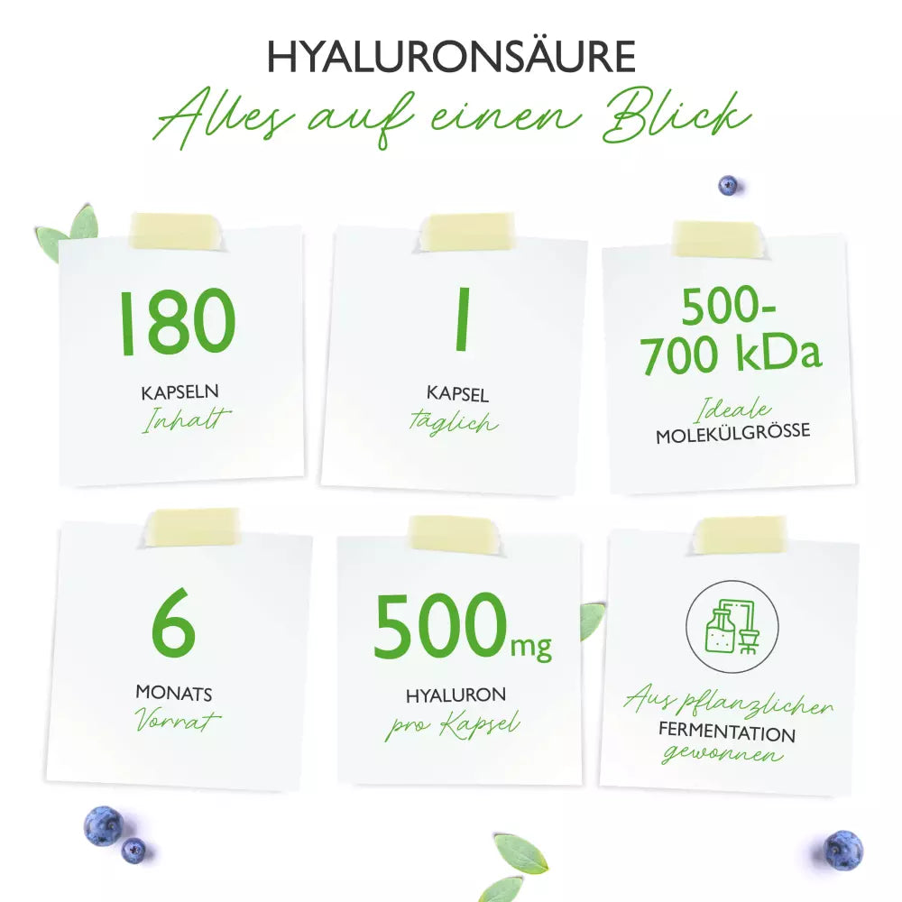 Hyaluronsäure (180 Kapseln a500mg)