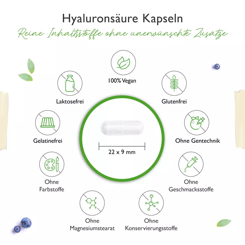 Hyaluronsäure (180 Kapseln a500mg)