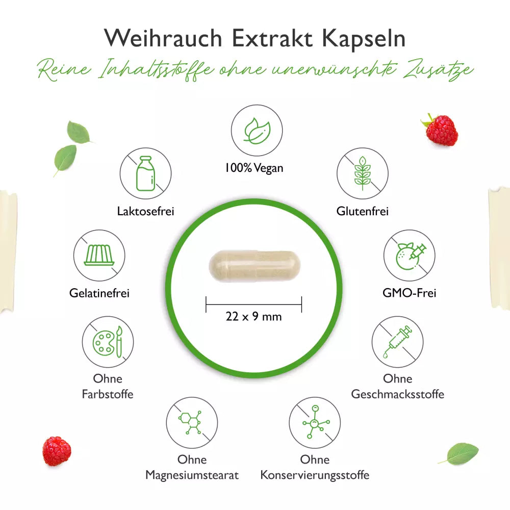 Weihrauch Extrakt 1000 - 85% Boswellia-Säure  (365 Kapseln a 1000mg)