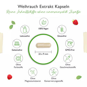 Weihrauch Extrakt 1000 - 85% Boswellia-Säure  (365 Kapseln a 1000mg)