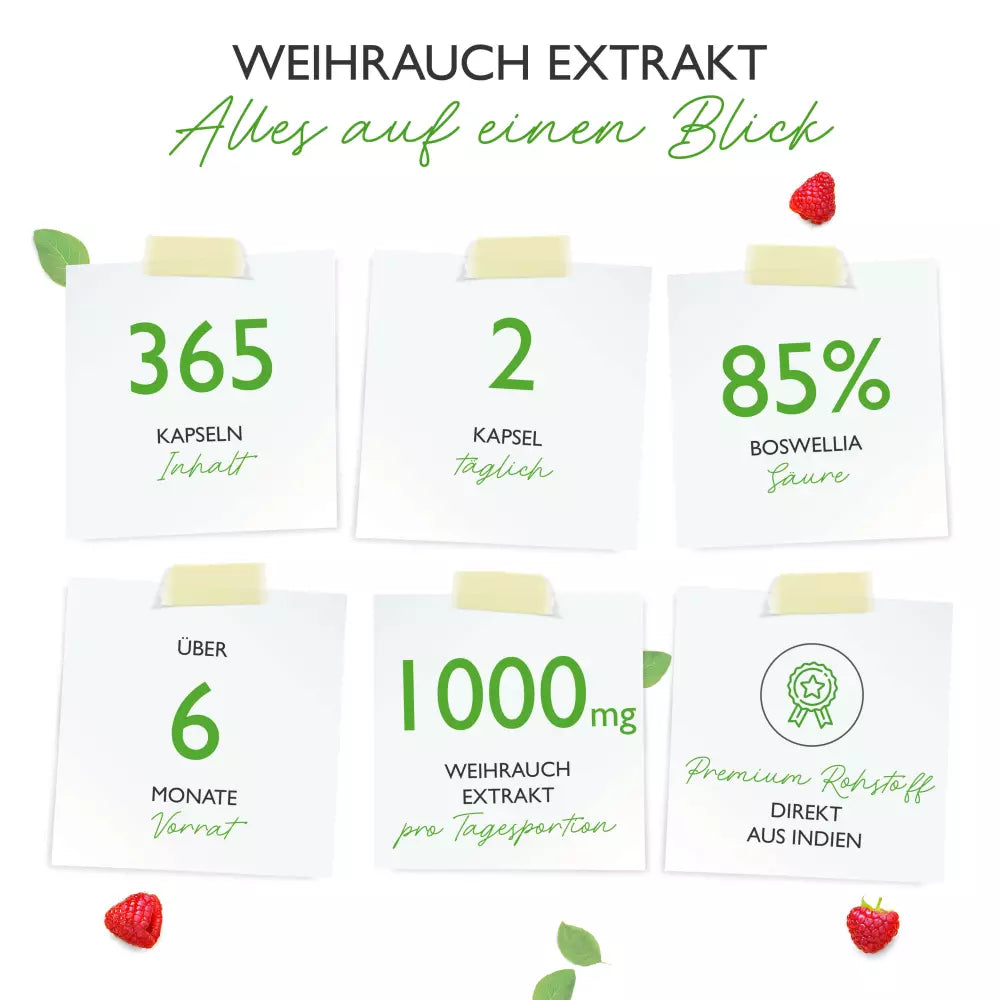 Weihrauch Extrakt 1000 - 85% Boswellia-Säure  (365 Kapseln a 1000mg)