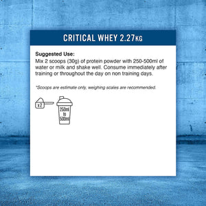 Applied Nutrition Critical Whey Probier-Dose (150g)