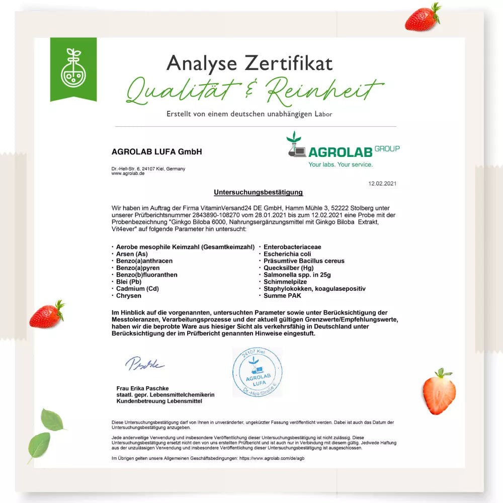 MSM Plus  Vit4ever (365 Tabletten -1000mg)