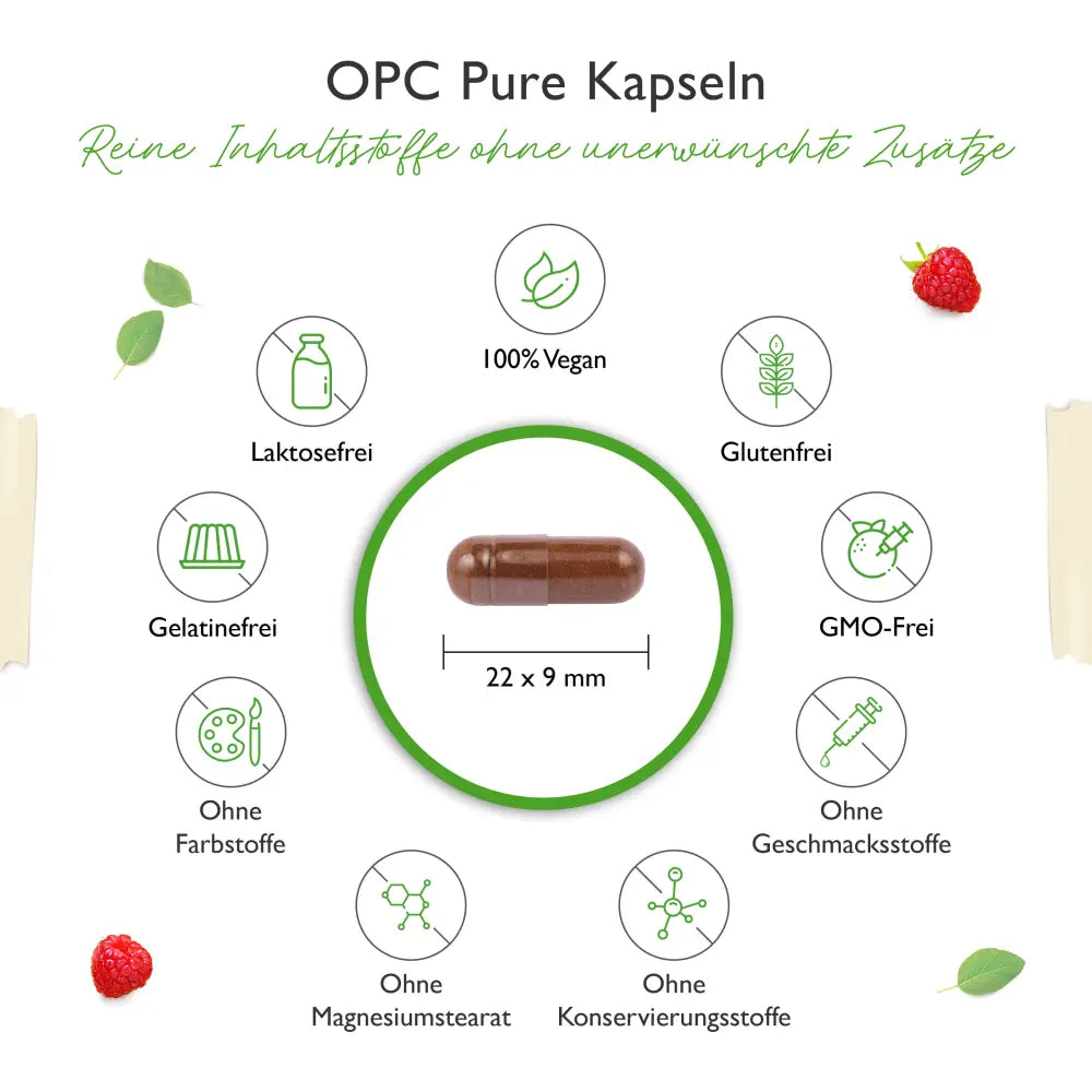OPC Pure - 500 mg Traubenkernextrakt - 300 Kapseln
