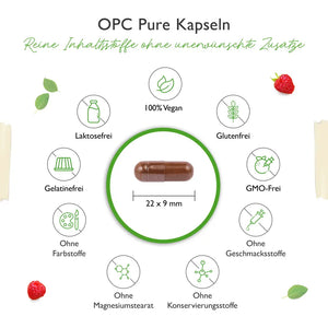 OPC Pure - 500 mg Traubenkernextrakt - 300 Kapseln